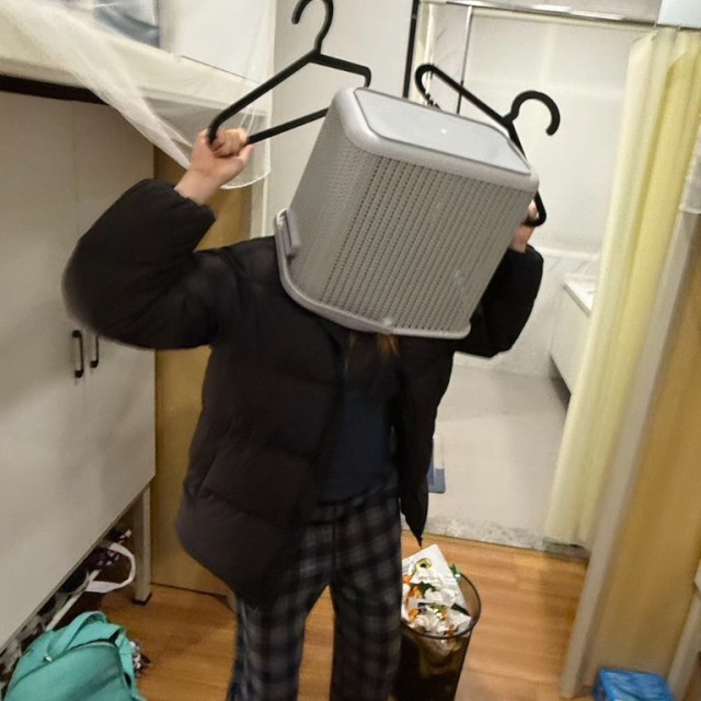 5353头像
